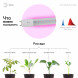 Фитолампа для растений светодиодная ЭРА FITO-9W-RB-Т8-G13-NL красно-синего спектра 9 Вт Т8 G13, фото 2