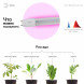Фитолампа для растений светодиодная ЭРА FITO-18W-RB-Т8-G13-NL красно-синего спектра 18 Вт Т8 G13, фото 3