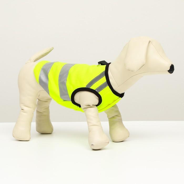 Светоотражающий жилет для собак, размер 18 (ДС 40 см, ОГ 50 см, ОШ 38 см), жёлтый - фото 1 - id-p171665817