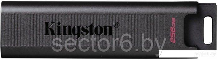 USB Flash Kingston DataTraveler Max 256GB