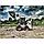 Шины для тракторов и сельскохозяйственной техники Petlas 10-16,5 12PR IND-35 TL 138 A3, фото 3