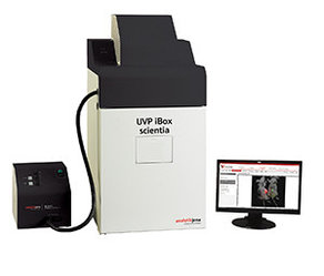 Система визуализации лабораторных животных UVP chemstudio iBox® Scientia™