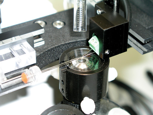 Микрокузница для нанесения покрытия и полировки ALA Scientific Instruments CPM-2 - фото 2 - id-p172143050