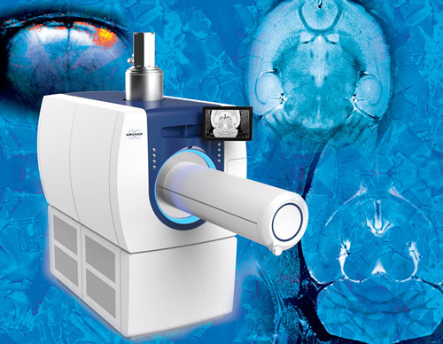 Магнитно-резонансный томограф Bruker BioSpec 3Т для исследований in vivo - фото 2 - id-p172143134