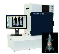 Система молекулярной визуализации Bruker MS FX Pro (Visipaque, йодиксанол)