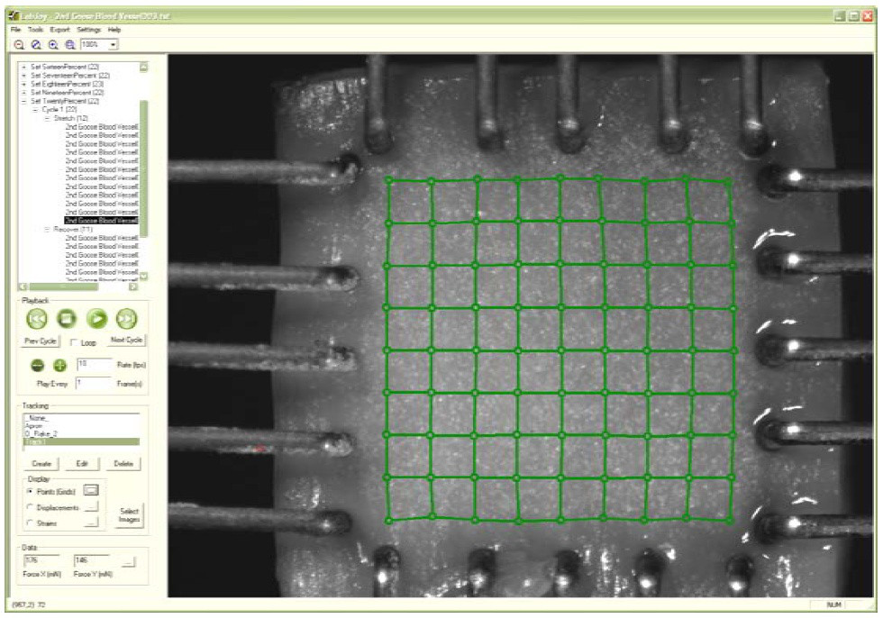 Двухосная система тестирования биоматериалов CellScale BioTester - фото 2 - id-p172143207