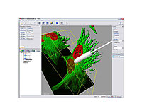 Программный пакет для сбора данных и их анализа Bitplane Imaris