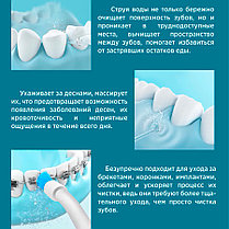 Ирригатор для полости рта 4 насадки 320 мл FL-V29, фото 2
