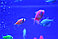 Рыба Тернеция  GLO (Гло), фото 2
