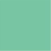 Маркер акварельный двухсторонний "ZIG CLEAN COLOR f" (зеленый флуоресцентный )