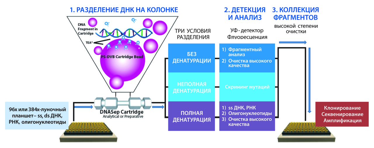 Система для скрининга мутаций в гене Transgenomic WAVE® System - фото 4 - id-p172309178