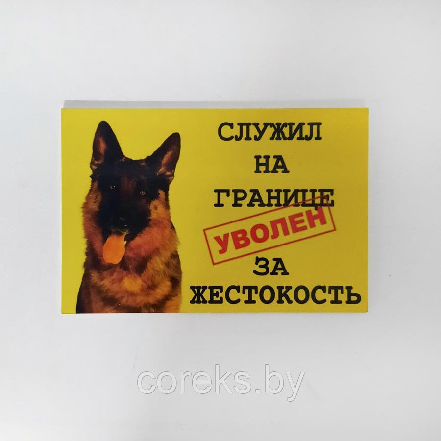Табличка "Осторожно во дворе собака" №14 (19*13 см)