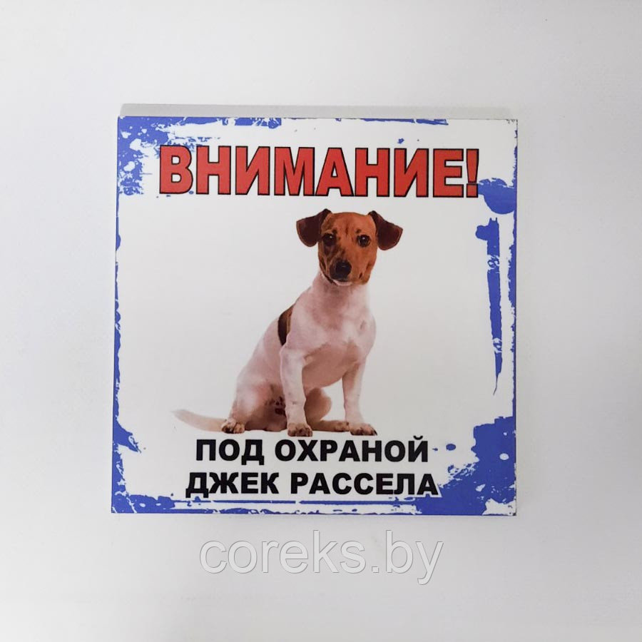 Табличка "Внимание! Под охраной джек рассела"  №22 (17,5*17 см)