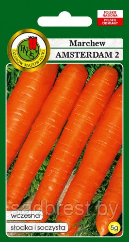 Семена Морковь Амстердамская 2 PNOS (5 гр) Польша