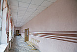 Краска ВД-АК 202 Интерьерная люкс 25 кг, фото 5