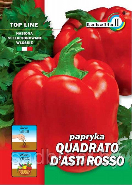 Семена Перец квадро д Асти Россо Lobelia II (0.3 гр) Италия