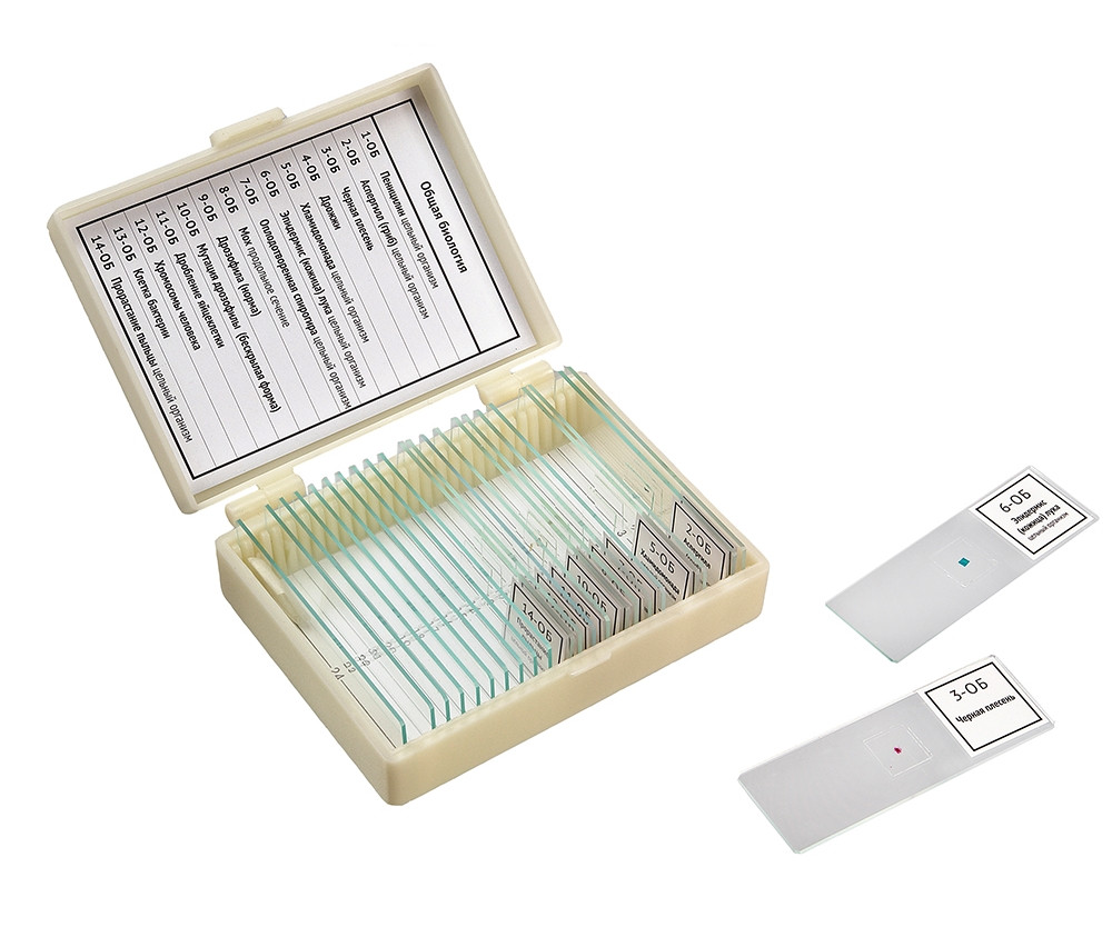 Набор препаратов (Общая биология) 14 обр.