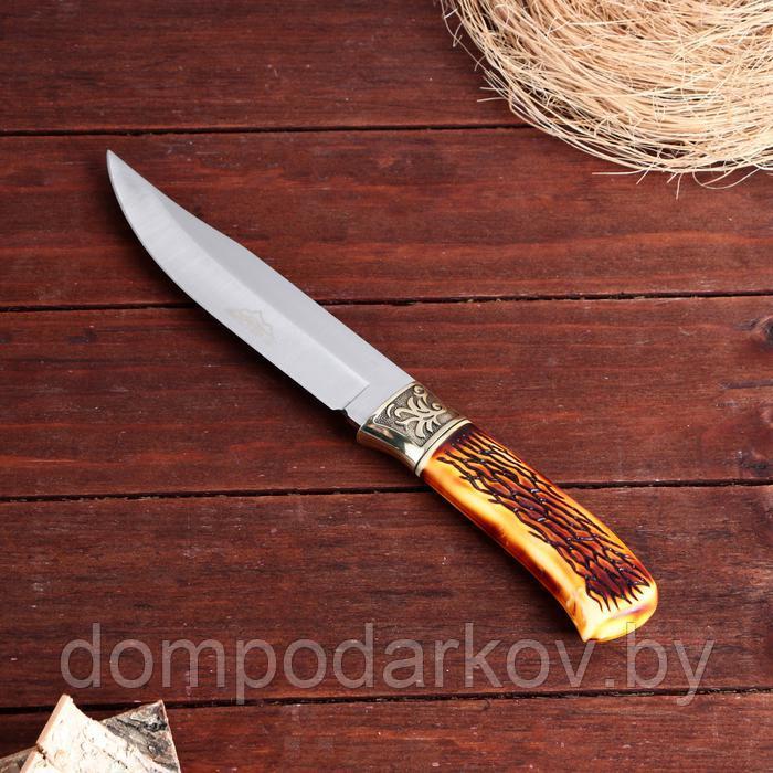 Нож охотничий "Бьёрг", 28 см, в чехле, рукоять под кость, с узором - фото 3 - id-p172403866