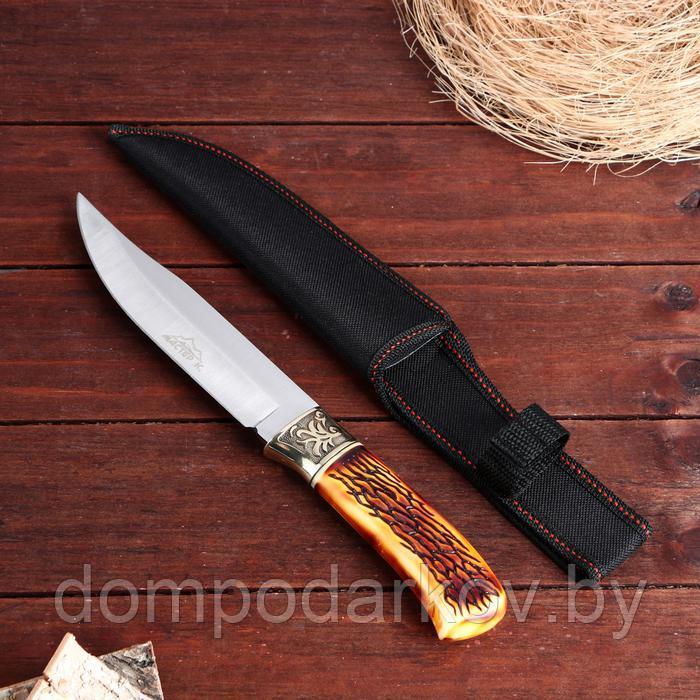 Нож охотничий "Бьёрг", 28 см, в чехле, рукоять под кость, с узором - фото 1 - id-p172403866