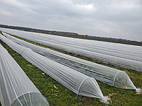 Пленка для минипарников 60МКМ 1.5м ширина