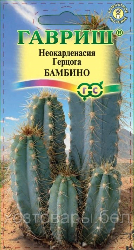 Цереус Бамбино перуанский 5 шт (Гавриш ) - фото 1 - id-p172453703
