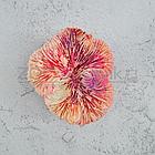 ГротАква Светящийся Коралл лилия персиковый Кс-416, фото 3