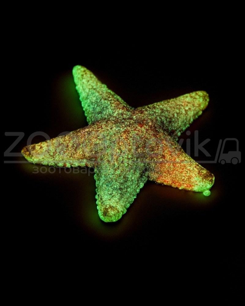 ГротАква Светящиеся Звезда средняя фиолетовая Кс-2120 - фото 4 - id-p172459680