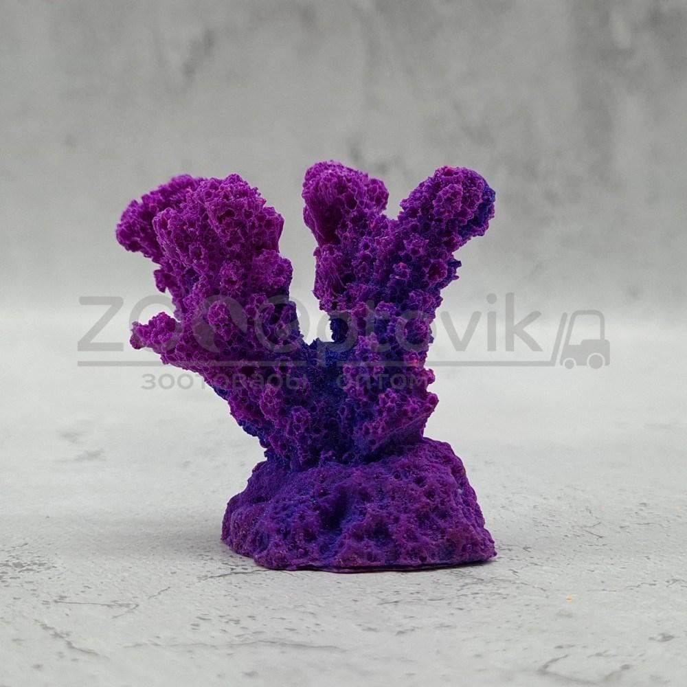 ГротАква Коралл рога фиолетовый Кр-632