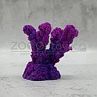 ГротАква Коралл рога фиолетовый Кр-632, фото 3