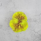 ГротАква Коралл лилия желтый акрил Кр-427, фото 3