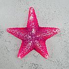 ГротАква Звезда средняя красная Кр-2126, фото 2