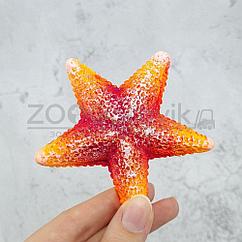 ГротАква Звезда средняя оранжевая Кр-2121
