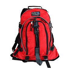 Рюкзак Polar 955red, фото 3