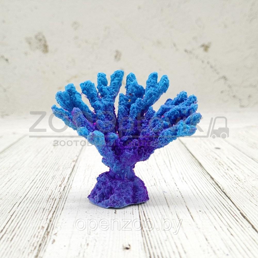 ГротАква Коралл акабария голубой акрил КР-323 - фото 1 - id-p171524072