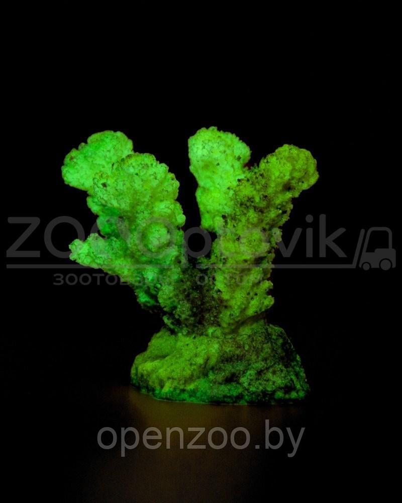ГротАква Светящийся Коралл рога зеленый Кс-647 - фото 4 - id-p172509738