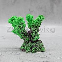 ГротАква Коралл рога зеленый Кр-624