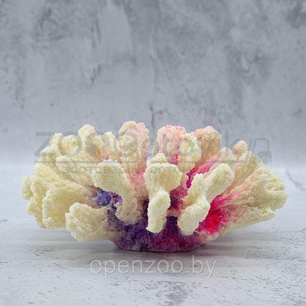 ГротАква Светящийся Коралл брокколи фиолетовый Кс-1520