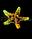 ГротАква Светящиеся Звезда остроконечная персиковая Кс-1016, фото 4