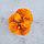 ГротАква Коралл лилия оранж акрил КР-421, фото 3