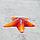 ГротАква Звезда средняя оранжевая Кр-2121, фото 3