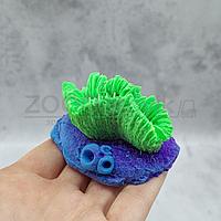 Гониопора зеленая Кр-184