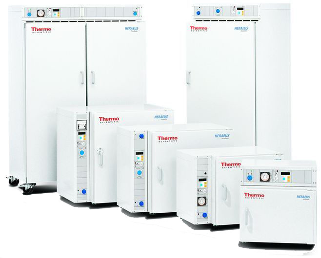 Микробиологические инкубаторы Thermo Fisher Scientific Heraeus 6000 - фото 1 - id-p172649726