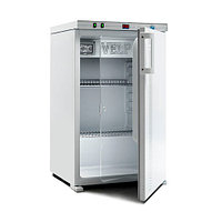 Инкубатор с прозрачной дверью VELP FOC 120I