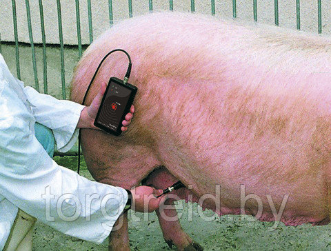 Ультразвуковой детектор беременности для свиней DRAMINSKI - фото 5 - id-p172655518