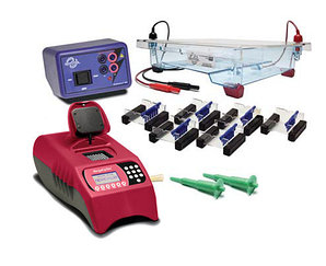 Комплексная ПЦР лаборатория Edvotek Comprehensive Biotechnology LabStation™