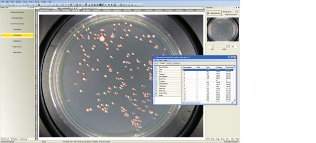 Счетчик колоний микроорганизмов UVP chemstudio ColonyDoc-It - фото 4 - id-p172728410