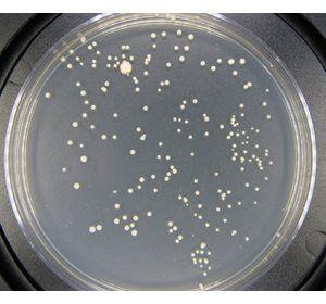 Счетчик колоний микроорганизмов UVP chemstudio ColonyDoc-It - фото 5 - id-p172728410