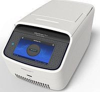 ДНК-амплификатор Thermo Fisher Scientific MiniAmp Plus (96×0,2 мл)