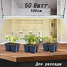 Фитолампа для растений MiniFermer 50 Вт, 120 см, Цветонос, 3000К+660, фото 10