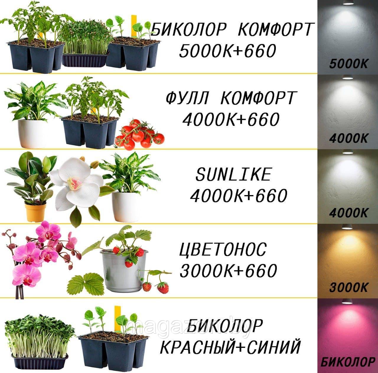 Фитолампа для растений MiniFermer 50 Вт, 120 см, Биколор, фиолетовый - фото 10 - id-p172739956